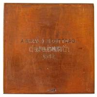 Erdey Dezső (1902-1957) 1931. "Ganz Fotoclub" egyoldalas, vert Br plakett, hátoldalon grav...