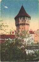 1921 Nagyszeben, Hermannstadt, Sibiu; Zimmermannsturm in der Harteneckgasse / Turnul fortific (Turnul Dulgherilor) / Asztalosok tornya. Jos. Drotleff kiadása / tower, fortification (EK)