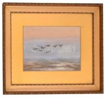 Pálffy jelzéssel: Vadludak, akvarell, papír, paszpartuban, üvegezett fa keretben, 19x26 cm, keret: 3...