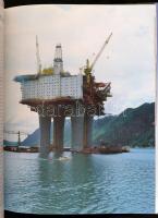 Nigel Hawkes: A világ építészete. Az építészet világa. Az ókortól a XXI. századig. Bp.,1990, Gullive...