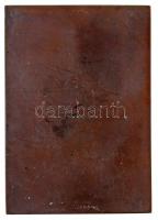 Garam Sándor (1882-1944) 1939. "Ribáry Géza Aetatis 50 1939" egyoldalas, vert Br plakett, ...