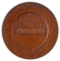 Berán Lajos (1882-1943) 1907. "A Kereskedelemügyi M. Kir. Miniszer Iparművészeti érme" két...