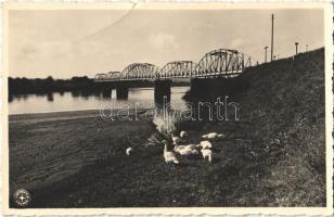 1939 Lippa, Lipova; Maros híd. Libraria Romaneasca Crisan / Mures river bridge (gyűrődés / crease)