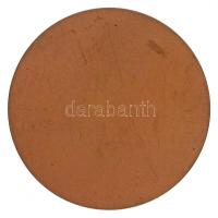 Pátzay Pál (1896-1979) 1935. "CAROLUS SCHAFFER PROF. NEUR. ET PSYCHIATR. 1935. BP. (Schaffer Ká...