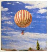 Szinyei Merse Anna: A magyar tájfestészet aranykora. 1820-1920. Bp., Dunakönyv. Kiadói egészvászon-k...