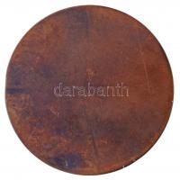 Lányi Dezső (1879-1951) 1913. "Horváth Géza 1913 VII 26" egyoldalas, vert Br emlékérem, há...