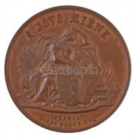 August Kleeberg 1861. "Gróf Teleki László" kétoldalas, vert Br emlékérem "GRÓF TELEKI...