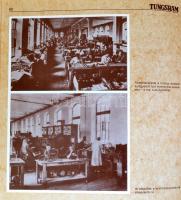 A Tungsram Rt. története I-II. 1896-1945. Bp., 1987.  Kiadói kartonált kötés, jó állapotban