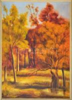 Labancz Zs. jelzéssel: Őszi erdő. Olaj, vászon. Jelzett. Keretben. 95x69 cm