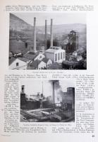 Die Donau. Ihre wirtschaftliche und kulturelle mission in Mitten- und Osteuropa. Wien, 1932,  Wirtsc...