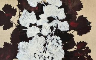 Polgár Csaba (1942-2016): Textilkép. Jelzett. 79x63 cm