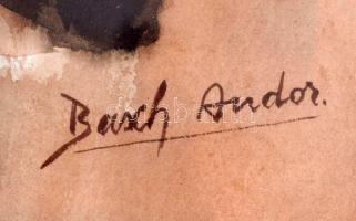 Basch jelzéssel. Csendélet. Akvarell, papír. Jelzett. Üvegezett keretben 43x31 cm