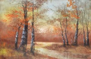 Mednyénszky jelzéssel: Őszi erdő. Akvarell, papír, Jelzett. Üvegezett keretben. 29x36 cm