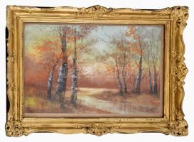 Mednyénszky jelzéssel: Őszi erdő. Akvarell, papír, Jelzett. Üvegezett keretben. 29x36 cm