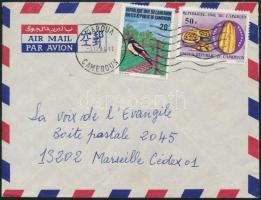 Cameroon 1984, Kamerun 1984