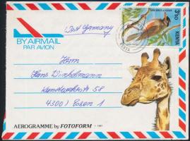 Kenya 1981, Kenya 1981
