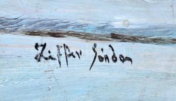 Cziffer jelzéssel: Női porté. Olaj, farost. 65x36 cm