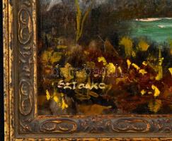 Sztankó Éva: Horgászhely a Rábán. Olaj, farost. Jelzett. 20x50 cm. Keretben