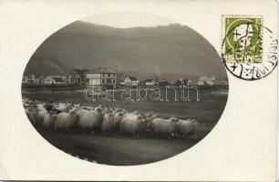 Seydisfjördur Photo