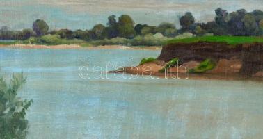 Haranghy Jenő (1894 - 1951): Dunai horgász. Olaj, karton. Jelzett. 38x53 cm Keretben