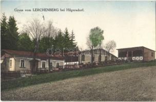 Skriváncí vrch (Severní), Lerchenberg bei Hilgersdorf;