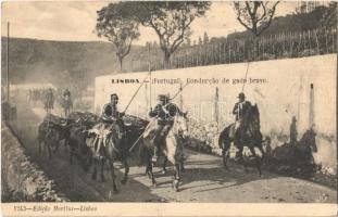 Lisboa, Lisbon; Conducao de gado bravo / folklore (EB)