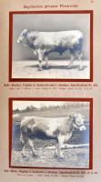 Deutsche Tierrassen. Berlin, 1912., Deutschen Landwirtschafts-Gesellschaft, 8+93+3 p.+53 (fekete-feh...