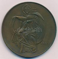 Kiss Kovács Gyula (1922-1984) DN "Michelangelo" Br emlékérem ÁPV tokban (60mm) T:1- patina