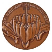 Vatikán 1986. "II. János Pál pontifikátusának 8.évére" Br számozott emlékérem eredeti tokb...