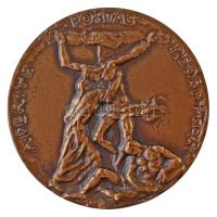 Vatikán 1983. "II. János Pál pontifikátusának 6.évére" Br számozott emlékérem eredeti tokb...