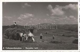 Csíkszentdomokos, Sandominic; Garados tető / mountain, hill, folklore