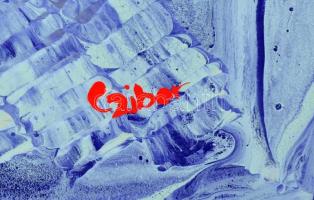 Czibor Ildikó (1969- ): Pause, olaj, farost, jelzett, 70×50 cm