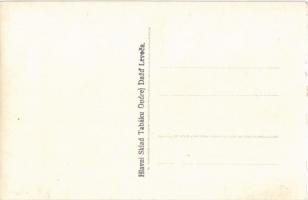 Lőcse, Levoca; Városháza, látkép a Tátrával, régi ház, Állami szlovák reálgimnázium / Radnica, Pohle...