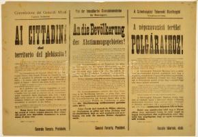 1921 A népszavazási terület átadása. ... Ferrario tábornok, a Szövetségközi Tábornoki Bizottság elnök által kiadott háromnyelvű hirdetmény. A Sopron környékén a népszavazás eredménye alapján Magyarországnak visszaadott területek kiürítéséről. 82x59 cm. A savas papír miatt ritka az ilyen jó állapotban fennmaradt példány!