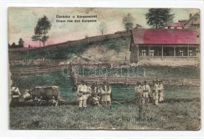 Üdvözlet a Kárpátokból, parasztok