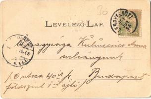 1903 Lengyeltóti, utca, Kir. Járásbíróság. Günsberger Zoltán kiadása (EK)