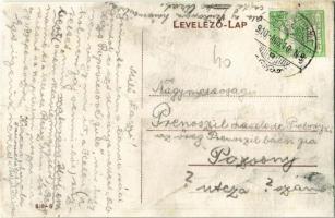 1910 Zsitvaújfalu, Nová Ves nad Zitavou; Gróf Nyáry Kálmán főrendiházi tag kastélya / castle (r)