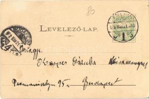 1902 Temesvár, Timisoara; März utca, Reisinger Károly, Pall üzlete. Raschka kiadása / street view, s...