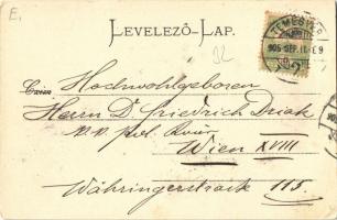 1905 Temesvár, Timisoara; Jenő herceg tér, Temesi Agrár Takarékpénztár, üzlet / square, savings bank...