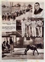 1932-1934 Vasárnapi Újság a Budapesti Hírlap képes mellékletének 11  száma. Egy-egy címlapon Mussoli...