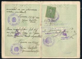 1931-1933 Magyar Királyság fényképes útlevele szilágycsehi születésű tanuló részére, bejegyzésekkel