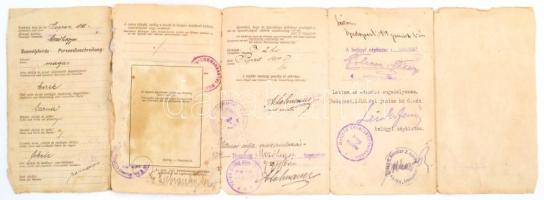 1919 Fényképes igazolójegy mezőhegyesi tisztviselőnő részére, 1919. V. 31. kiállítással, 'Magya...