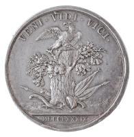 Habsburg Birodalom 1789. "Laudon generális elfoglalja Belgrádot" jelzetlen Ag emlékérem. &...