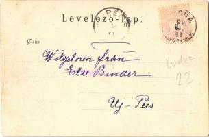 1899 Rudna (Torontál), park / Aussicht vom Parke Rudna / park