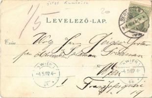 1907 Brassó, Kronstadt, Brasov; Dealul Strajii / Schlossberg / Fellegvár, villa. Wilh. Hiemesch / vi...