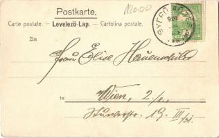 1909 Gyepűfüzes, Gyepű-Füzes, Gornji Fides, Kohfidisch; Gróf Erdődy kastély, Fő utca. Titkosírással ...