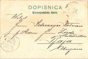 1905 Trebinje, Bilekerstrasse / road, general view, boat loaded with sacks montage. Verlag von Todor...