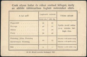 1945 Szeged, halászjegy