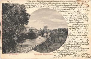 1900 Temesvár, Timisoara; Gyárváros, Béga részlet, folyóba ugráló fürdőző gyerekek. Polatsek kiadása / Fabrica, river, children jumping in the river