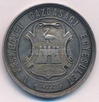 1888. A Vasmegyei Gazdasági Egyesület / Hosszú hűséges szolgálat elismeréseül jelzetlen ezüst emlékérem, hátulján gravírozással (22,27g/36mm) T:1- patina, ph.